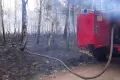 Pożar lasu koło Wierzbowej – zadysponowano samolot gaśniczy