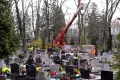 Zdrowe drzewo zniszczyło 13 nagrobków. Kto pokrywa szkody?