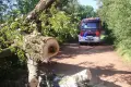 Akcja straży pożarnej na drodze Gromadka–Nowa Kuźnia