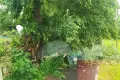 Nawałnica nad Tomaszowem Bolesławieckim: zerwany dach, połamane drzewa