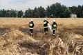 Pożar na polu