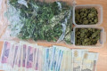 Kolejna plantacja marihuany zlikwidowana. Przechwycono też ecstasy i metę