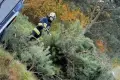 Sobotni pożar na strefie i w lesie