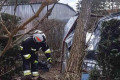 Powalone drzewo uszkodziło dwa garaże w Szczytnicy