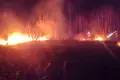 Nowa plaga pożarów w powiecie bolesławieckim
