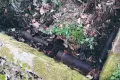 Niewybuchy znalezione w czasie prac porządkowych. Ewakuowano 28 osób