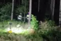 Forest fire near Pasternik