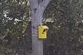 Tajemniczy obiekt na Cieszkowskiego. Radar? Sposób na piratów drogowych?