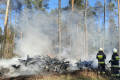 Kolejny pożar w lesie. W akcji nasi strażacy