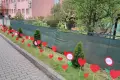 Uczniowie gościszowskiej podstawówki w niezwykły sposób uczcili Dzień Matki