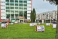 Wyborczo-kampanijne „kwiatki”. Publikujemy kilka z nich