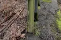 Czytelnik informuje: Złodzieje dewastują dawną kładkę