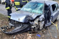 Auto uderzyło w drzewo, jedna osoba ranna