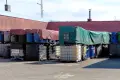 Niebezpieczne odpady nadal na Kościuszki. O sprawę dopytuje radny, zajmuje się nią prokuratura