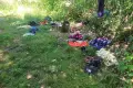 Czytelniczka o bezdomnych przy Tysiąclecia: włamują się na działki, korzystają z basenów