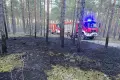 Лісові пожежі, пожежа сміття та повалене дерево. Наші пожежники виїжджали на виклики