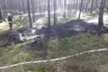 Пожежа шин і лісової підстилки. Працювали пожежники