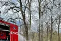 Ще одна лісова пожежа