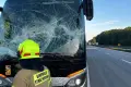 A4: drzewo spadło na autobus wiozący ponad 50 pasażerów