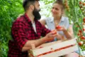 Pomidorowe Eldorado – Jak z jednej sadzonki wyczarować raj w szklarni? Poradnik o rozsadach i uprawie sadzonek pomidorów
