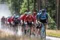 Predator Gravel 2025 w Bolesławcu – gravelowe święto przyciągnęło ponad 200 zawodników