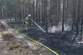 Znowu pali się las i znowu w rejonie Kozłowa
