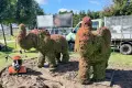 Słonie wróciły do Bolesławca. Stanęły jednak w zupełnie innym miejscu, niż zapowiadano