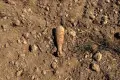Farmer Stops Fieldwork After Mortar Shell from World War II Is Found Protruding from the Ground