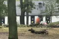 Tree felling near the swimming pools in Bolesławiec. Police intervened