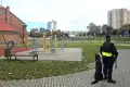 Policja pojawiła się we wszystkich szkołach w powiecie. Jest nowy komunikat w sprawie „krwawego piątku”