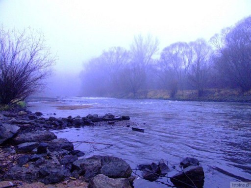 Rzeka Bóbr w listopadowy, mglisty dzień