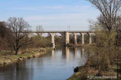 Smutny widok z mostu na rzekę Bóbr (po wycince drzew)