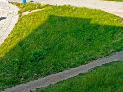 Trawnik przy ulicy Małachowskiego