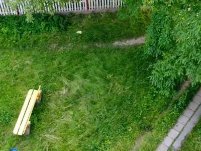 Ławka na trawniku przy ulicy Małachowskiego