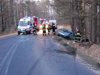 Kierowca samochodu Renault zjechał z drogi i uderzył w drzewo