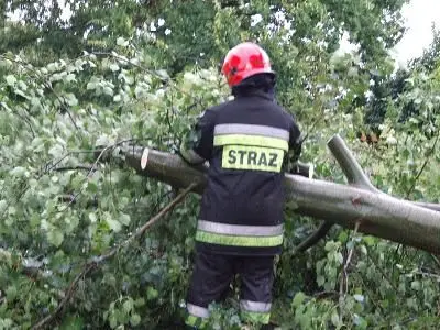Strażacy wyjeżdżali usuwać drzewa leżące na ulicach