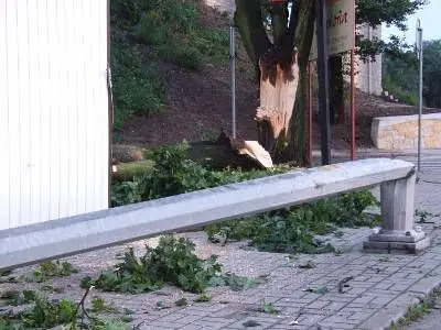 Złamane przez wichurę drzewo spadło na latarnię uliczną