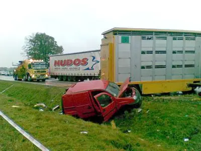 Na miejscyu są wozy techniczne, strażacy czekają jeszcze na auto, które zabierze bydło