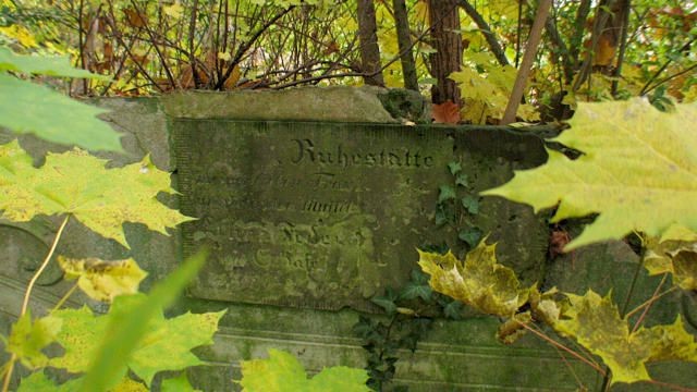 Stary Cmentarz Ewangelicki przy ul. Ptasiej. Obecnie cmentarz prawie całkowicie zniszczony i sprofanowany.