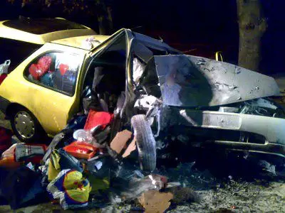 Ford Fiesta zjechał z drogi i uderzył w drzewo