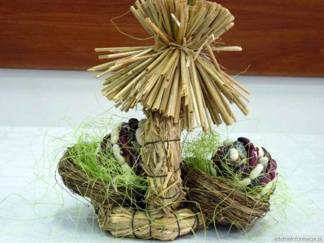 Na konkurs napłynęło 71 prac