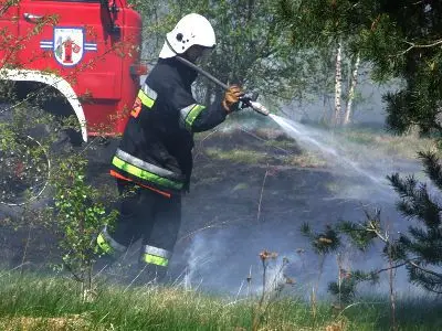 Akcję gaśniczą utrudniał porywisty wiatr