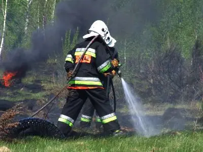 W akcji gaśniczej brało udział 7 zastępów straży pożarnej