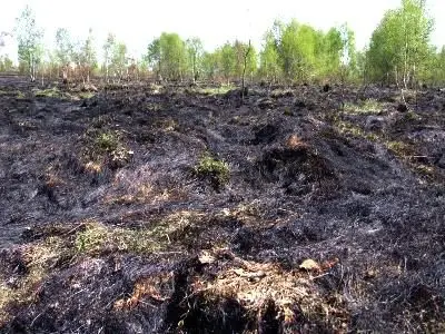 Pożar strawił co najmniej kilka hektarów nieużytków
