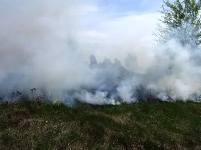 Ogień pojawił się w kilku miejscach