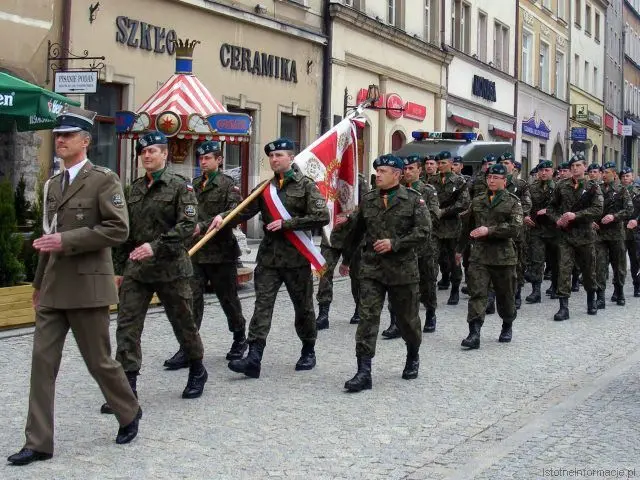Obchody Dnia Flagi oraz rocznicy uchwalenia Konstytucji 3 Maja były okazją, aby przypomnieć o symbolach narodowych