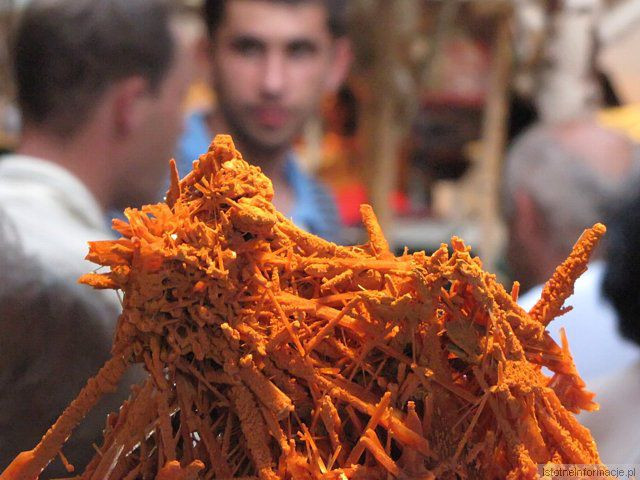 Lwóweckie Lato Agatowe 2010