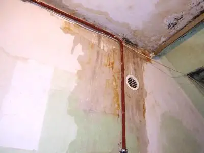 Na ścianach i sufitach mieszkań i klatki schodowej pojawił się grzyb