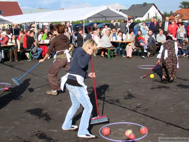 Festyn w Dobrej 2010