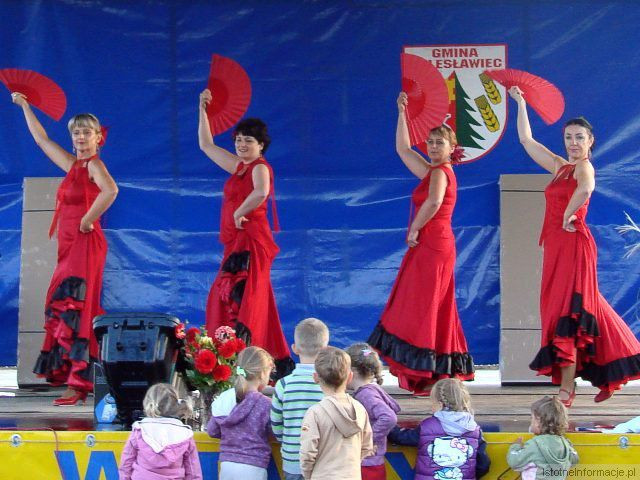 Festyn w Dobrej 2010